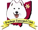 Forever Dogs - Buckeye Samoyed Rescue