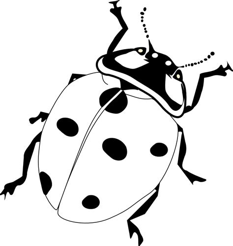 Free Bug Cliparts Black, Download Free Bug Cliparts Black png images ...