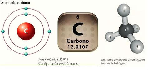 belépés Visszaszerez Mutassa cuales son las caracteristicas del carbono ...