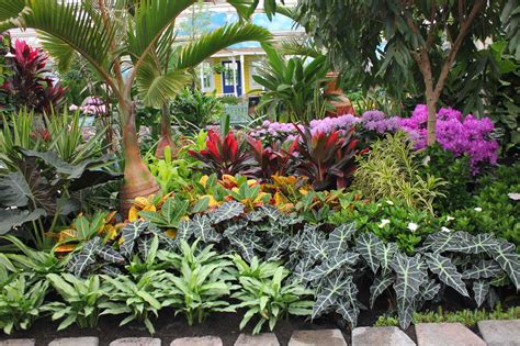 IMG_0450.JPG (1600×1066) | Tropical garden, Florida gardening, Florida plants landscaping