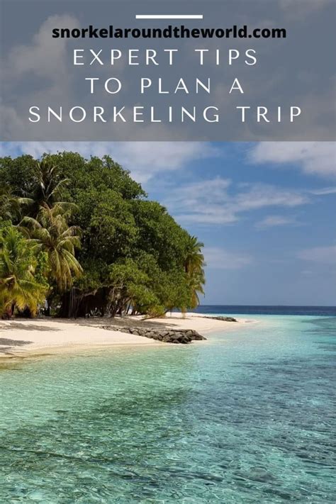 Planning a Snorkeling Trip? 10 Tips You Need To Know