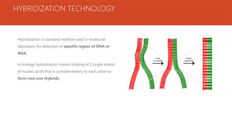 SOLUTION: Dna hybridization techniques in molecular biology - Studypool