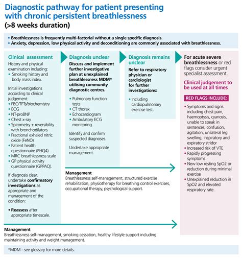 NHS England » Adult breathlessness pathway (pre-diagnosis): diagnostic pathway support tool