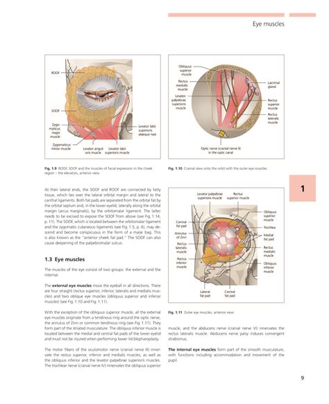 Illustrated Guide to Eyelid and Periorbital Surgery - Archidemia