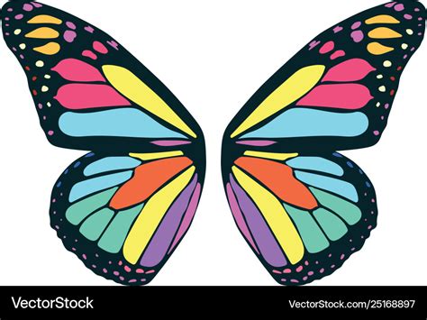 Butterfly wing Royalty Free Vector Image - VectorStock