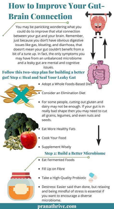 How to improve your Gut-Brain Connection #gut #health | Gut brain, Brain connections, Diet and ...