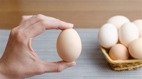 Large Vs. Extra Large Eggs: Does The Difference Really Matter?