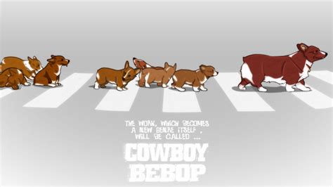 Cowboy Bebop Dog Wallpapers - Top Free Cowboy Bebop Dog Backgrounds - WallpaperAccess