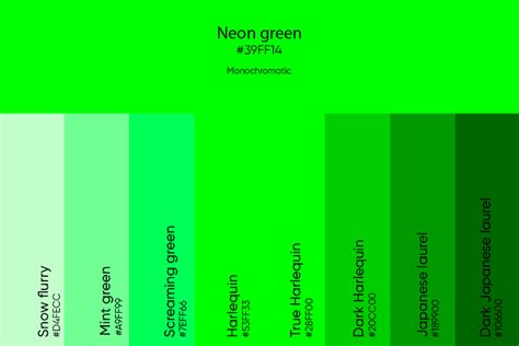 Neon Green Color: Codes, Meaning and Matching Colors - Picsart Blog