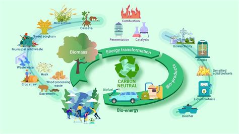 Researchers evaluate biomass energy conservation and carbon reduction