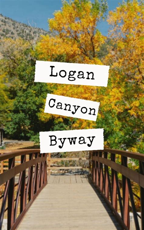 Guide To Driving Logan Canyon Scenic Byway In Utah in 2021 | Scenic byway, Scenic, Byways