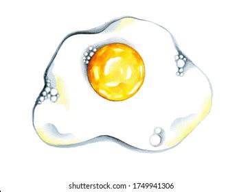 Fresh Fried Eggwatercolor Drawing On White Stock Illustration 1749941306 | Shutterstock