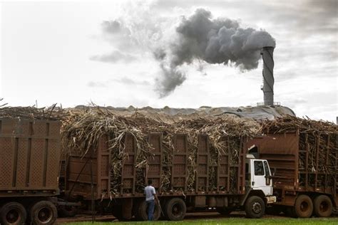 Brazil's Sugar Sector Goes on a Diet - WSJ