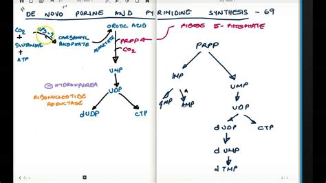 PURINE AND PYRIMIDINE SYNTHESIS PART 2 - YouTube