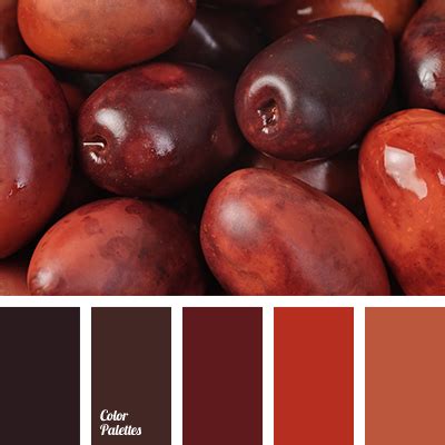 pale orange | Color Palette Ideas