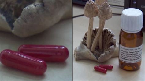 Canadian patients call for easier access to therapeutic psilocybin ...