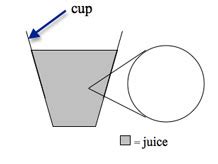 Annotated Drawing | Grade 5 Curriculum | The Inquiry Project