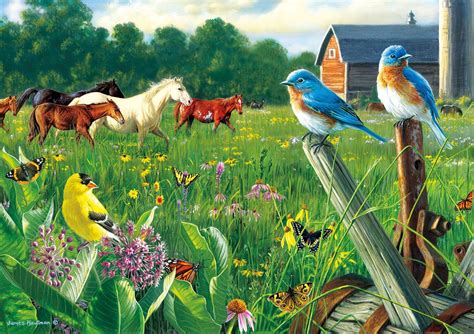 Country Meadow, 300 Pieces, Buffalo Games | Puzzle Warehouse