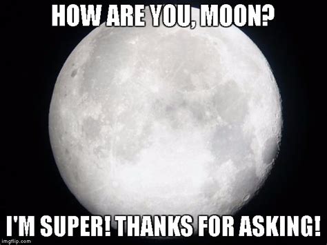 15 Top Moon Meme Images Jokes and Photos | QuotesBae