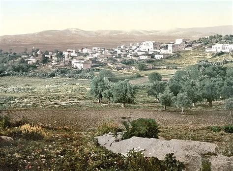 HOLY LAND: JENIN, c1895. View of the city of Jenin (Print #12425517