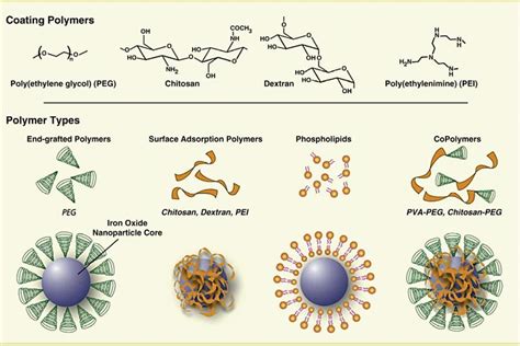 Magnetic Nanoparticles: Synthesis, Surface Modifications and ...