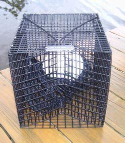 Fish Traps - Pinfish Traps, Perch/Bream Fish Trap | Fish, Crawfish ...