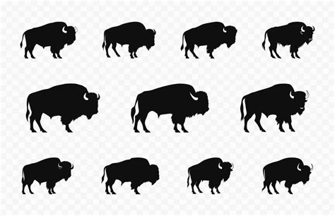 American Bison Silhouettes Vector Set, Bison Black Silhouette Vector ...