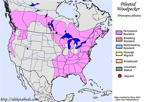 Pileated Woodpecker - Species Range Map