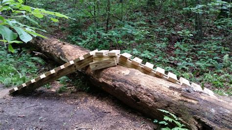 Cane Creek (sheltowee Trace Trail) Mountain Bike Trail in London ...