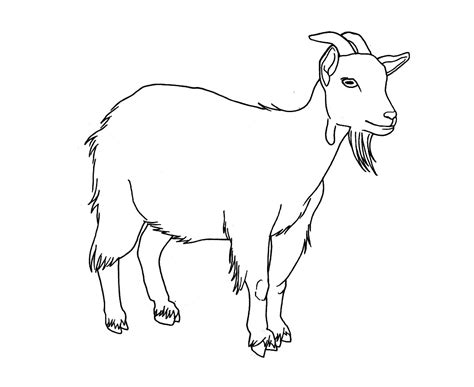 Mountain Goat Drawing at GetDrawings | Free download