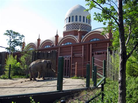 Elephant House (Cincinnati Zoo) | Cincinnati Zoo and Botanical Garden Wiki | FANDOM powered by Wikia