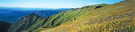 Home - Cooma - Snowy Mountains Tourist Park