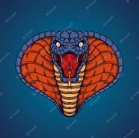 Premium Vector | Head snake cobra illustration