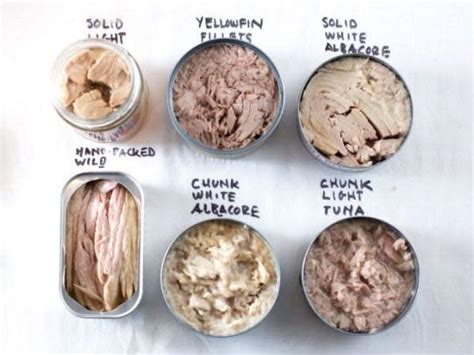 what to do with canned albacore tuna - Selina Helton