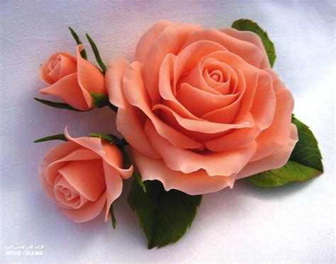 LOVELY PEACH COLORED ROSE | ROSES - PEACH COLORED | Pinterest | Peach and Flowers