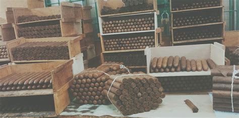 The Color of Cigars – The CigarMonkeys