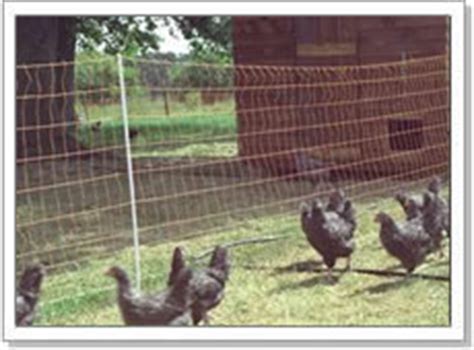 Chicken Wire Netting - Poultry House Fencing - AiJi Chicken Wire Co.