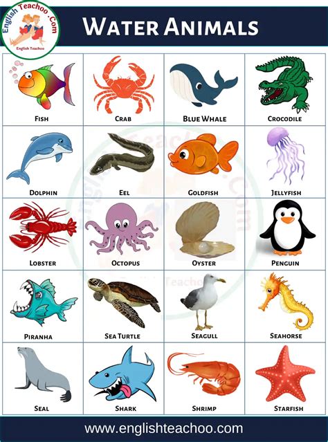 50 Water Animals Name In English With Pictures - EnglishTeachoo