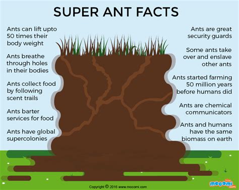 10 Fascinating Facts about Ants - Gifographic for Kids | Mocomi