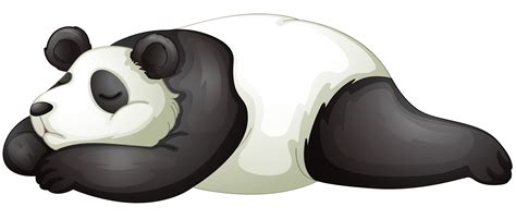 Sleeping Panda