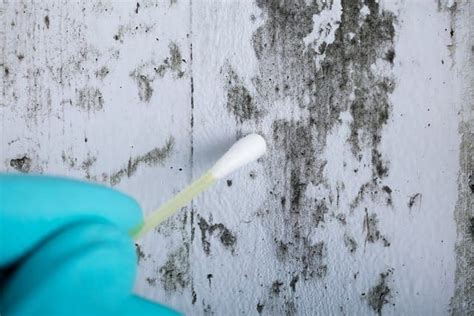 8 Tips To Prevent Mold After A Flood! | Palm Springs CA | Palm Desert CA