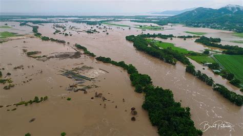 Cyclone brings floods, crocodile sightings in Australia's northeast ...