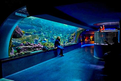 Tourist should know: Turkey, Istanbul Florya Aquarium 🐟🐠