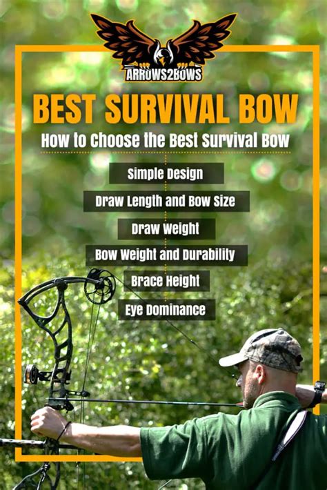 Best Survival Bow - Arrows 2 Bows