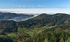 Black Forest - Wikipedia