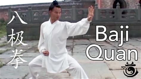 ba ji quan techniques - ms-projects-2010-tutorial