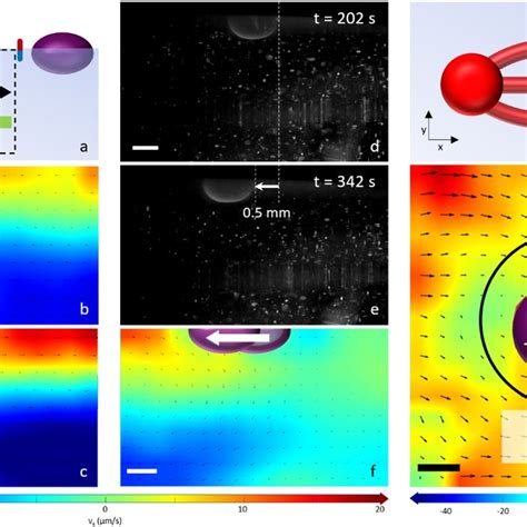 Visualization of the Marangoni effect within the drain droplet ...