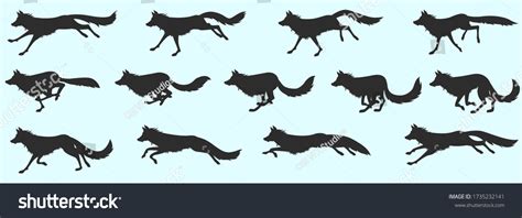 11 Wolf Run Cycle Images, Stock Photos, 3D objects, & Vectors | Shutterstock