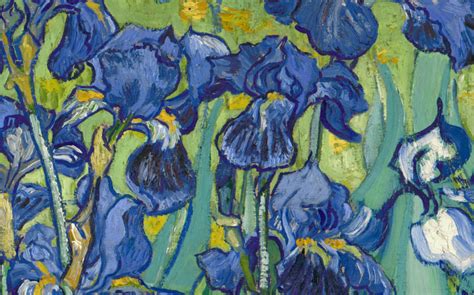 Masterpiece Story: Irises by Vincent van Gogh | DailyArt Magazine