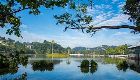 Kandy Lake - 2019 All You Need to Know BEFORE You Go (with Photos) - TripAdvisor